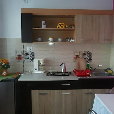 דירה Rodica *