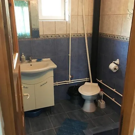Rodica * אפורי נורד