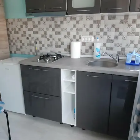 דירה Rodica